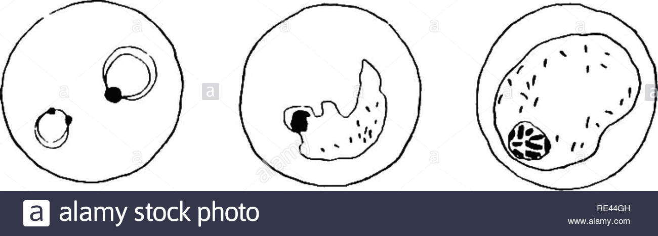 Choro Q Drawing Mode Stockfotos Mode Bilder Seite 11 Alamy