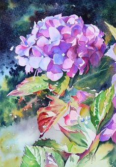 Close Up Drawings Of Flowers 2126 Best Flowers Close Up Look Images Floral Watercolor Paint