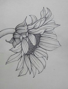 Close Up Drawings Of Flowers 299 Best Flower Coloring Pages Images In 2019 Paintings Flower