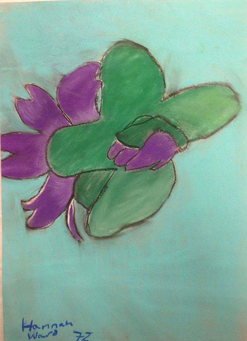 Close Up Drawings Of Flowers Hannah Chalk Drawing Of A Flower From Direct Observation for the Y7