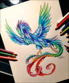 Colored Pencil Drawings Of Dragons 352 Best Dragons Fantasy Draw Doodle Images In 2019 Cool