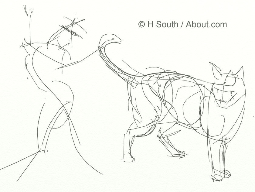 Contour Drawing Of A Cat How to Draw and Sketch Cats
