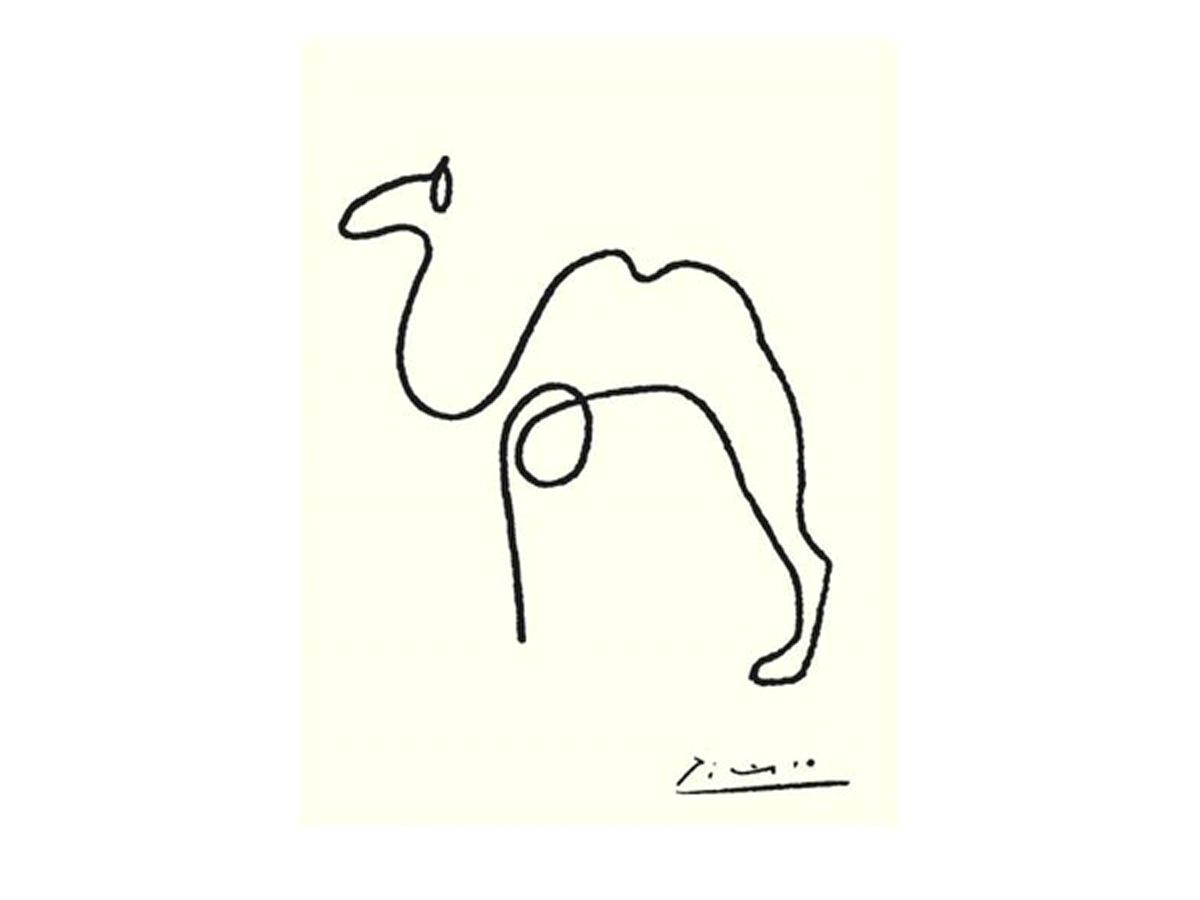 Contour Drawing Of A Cat Picasso Line Drawings All the Night Cats the Camel B Line
