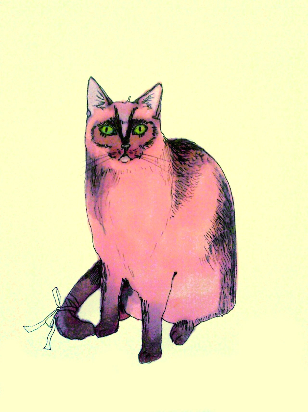 Cool Drawings Of A Cat Pink Cat Illustration Cats Cat Art Cats Illustration