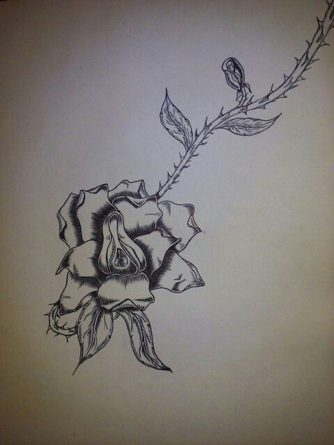 Cool Drawings Of A Rose Roses are Cool Drawings Draw Cool Stuff Rose