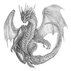 Coolest Drawings Of Dragons 136 Best Lineart Dragons Images Dragons Dragon Kites