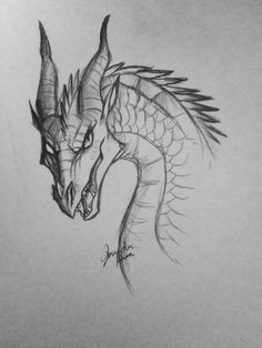 Coolest Drawings Of Dragons 316 Best Dragon Head Drawing Images Dragon Art Dragon Head