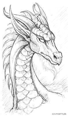 Coolest Drawings Of Dragons 968 Best Dragon Drawings Images Mandalas Coloring Books