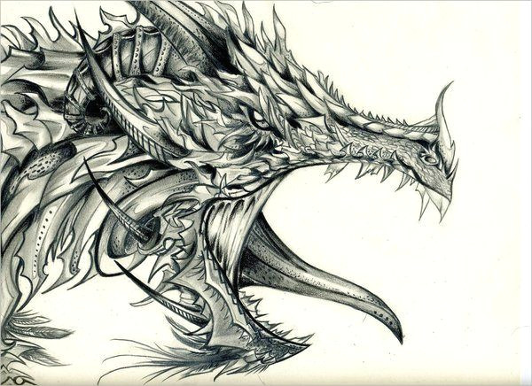 Coolest Drawings Of Dragons Pin by Jessee Robinson On Art Stuff Dragon Cool Dragon Drawings
