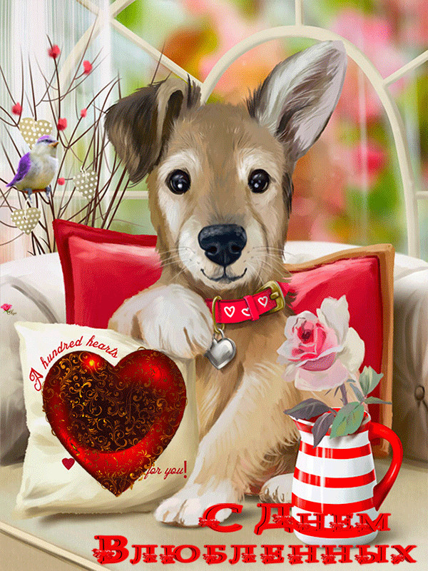 Cute Drawing Dog Gif 0 19f385 29d2c5e5 orig 600a 800 Valentin Dog Art Dogs Animals