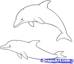Cute Drawing Dolphin Dolphin Drawings In Pencil How to Draw A Dolphin Drawing Ideas