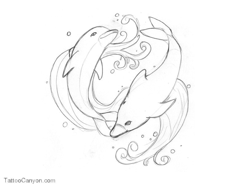 Cute Drawing Dolphin Free Designs Swimming Dolphins Tattoo Wallpaper Picture 12953