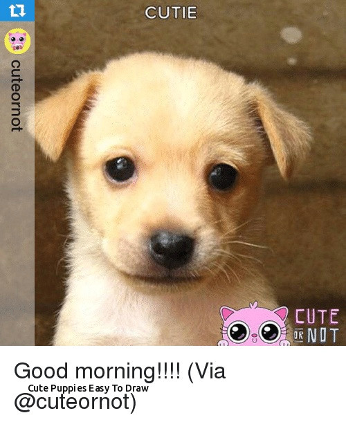 Cute Drawing Easy Puppy Cute Puppies Easy to Draw Wallpaper Dog sophisticated Features Dog