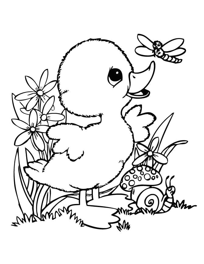 Cute Drawing for Her Cute Coloring Pages New Leprechaun Coloring Pages I Pinimg 736x 0d
