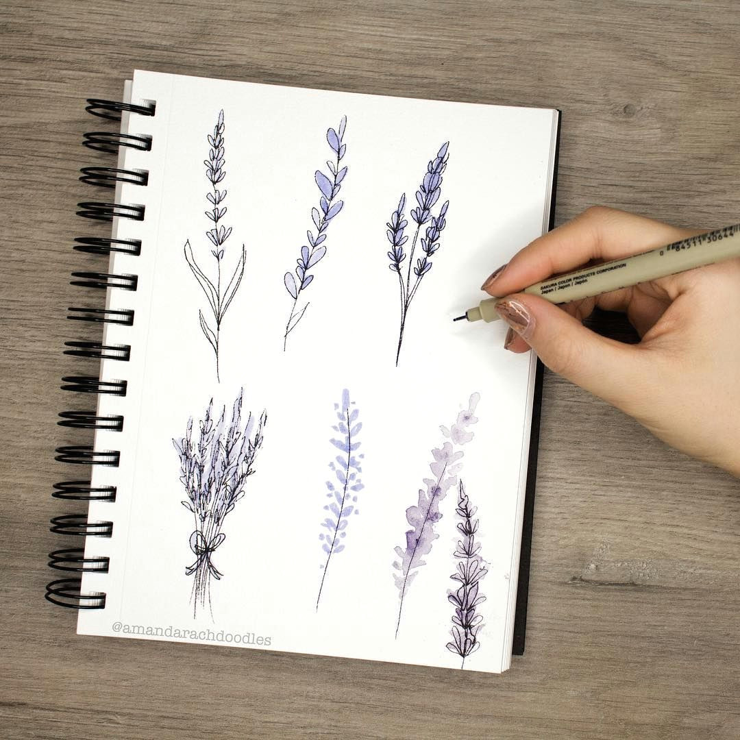Cute Drawing Journal Just Uploaded A Doodle Tutorial On Drawing Cute Lil Lavender Flowers