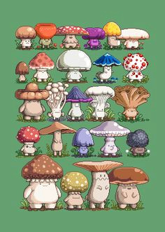 Cute Drawing Mushroom 31 Best Mushroom Drawing Images Mushroom Drawing Coloring Books