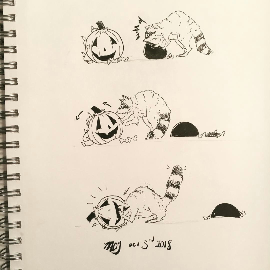 Cute Drawing Notebooks Inktober Day 3 A Raccoon Gets In some Trouble Swipe for More Comic