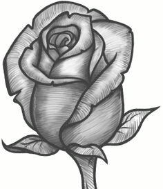 Cute Drawing Of A Rose are You Looking for A Tutorial On How to Draw A Rose Look No