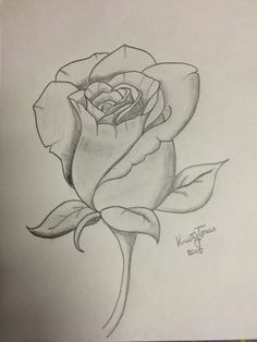 Cute Drawing Of A Rose are You Looking for A Tutorial On How to Draw A Rose Look No