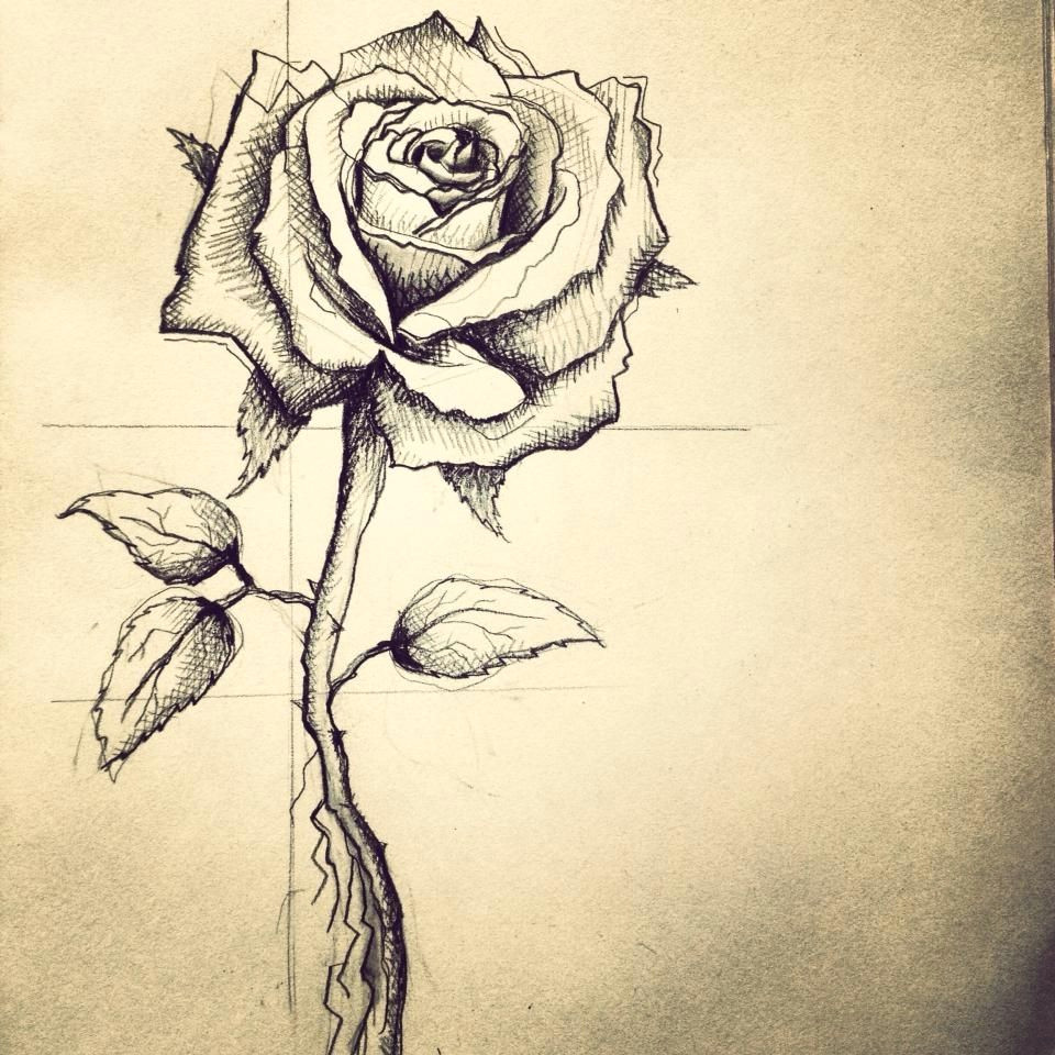 Cute Drawing Of Roses Rose Tattoo Design for My Friend In Boston He Wanted It to