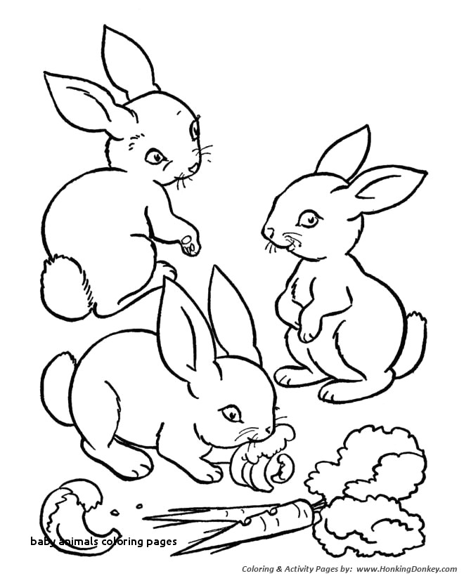 Cute Drawing to Color Cute Drawings to Color Best Of Elephants to Color Elephants Coloring