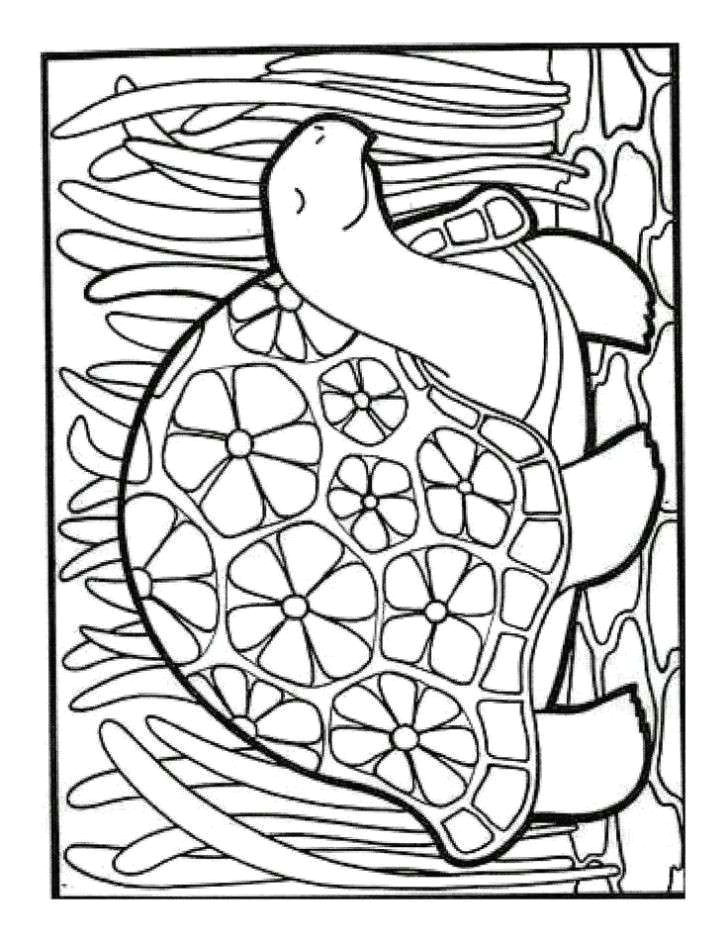 Cute Drawing with Color Porcupine Coloring Page New Cute Coloring Pages for Teens Awesome