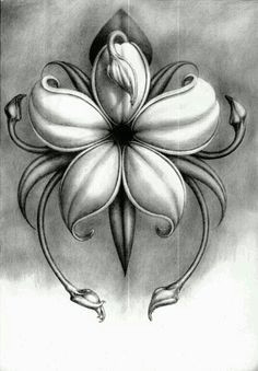 Cute Drawings Of Roses and Hearts 61 Best Art Pencil Drawings Of Flowers Images Pencil Drawings