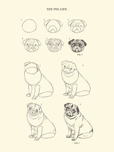 Cute Hot Dog Drawing 120 Best Drawing Dog Images Cute Drawings Kawaii Drawings Doggies