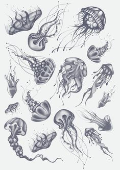 Cute Jellyfish Drawing 27 Best Jellyfish Tattoos Images Living Water Jellyfish Tattoo