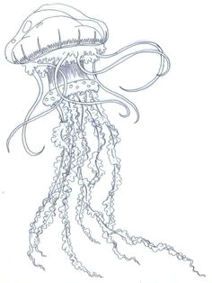 Cute Jellyfish Drawing 42 Best Realistic Jellyfish Tattoos Images Jellyfish Tattoo