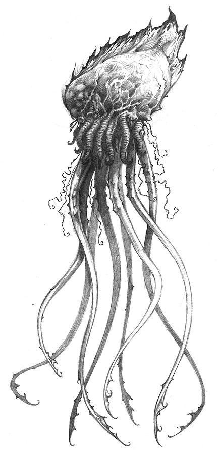 Cute Jellyfish Drawing Jellyfish by Jasonheeley On Deviantart Tattoo Ideas Jellyfish