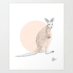 Cute Kangaroo Drawing 214 Best Kangaroo Images Cutest Animals Wild Animals Australia