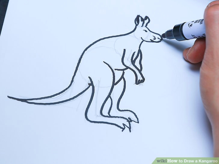 Cute Kangaroo Drawing 3 Ways to Draw A Kangaroo Wikihow