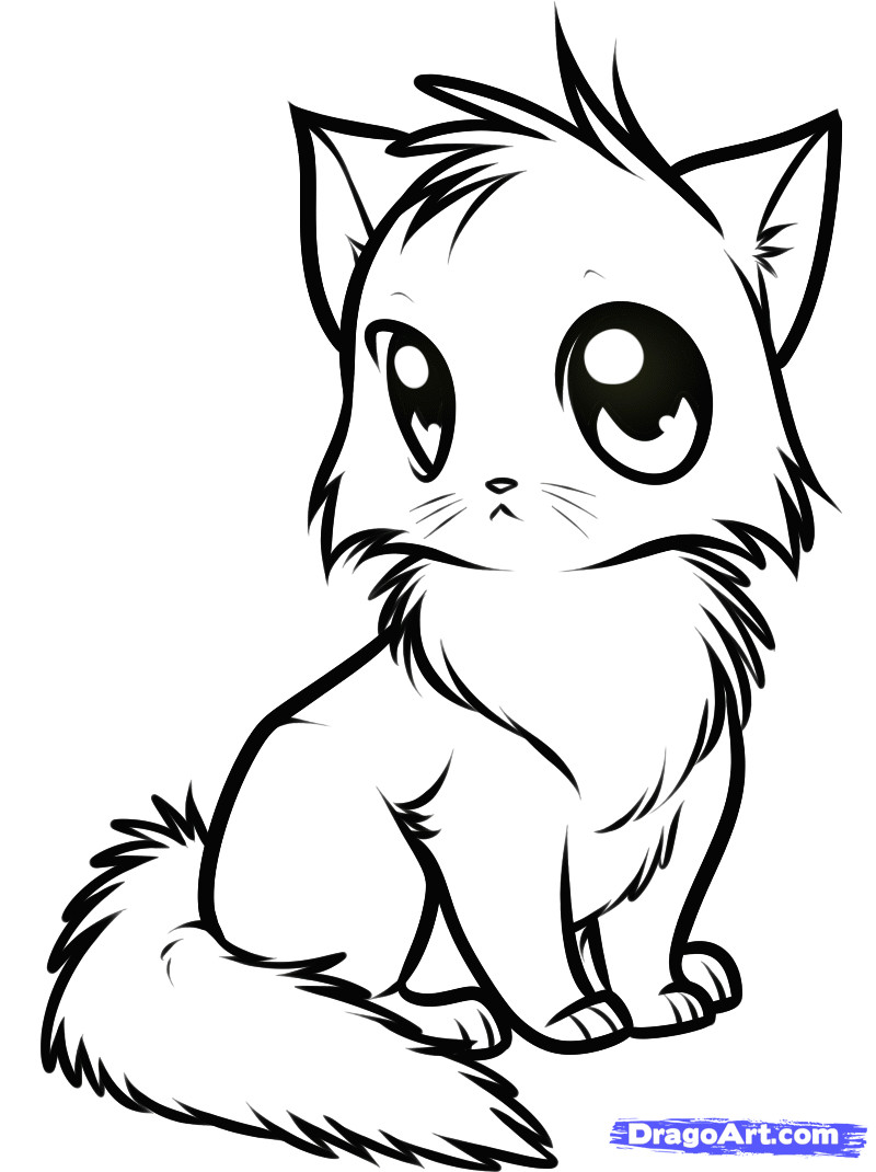 Cute Kitten Drawing Easy Draw A Cute Anime Cat Step by Step Drawing Sheets Added by Dawn