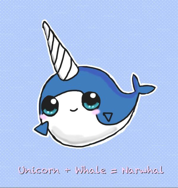 Cute Narwhal Drawing Funny Narwhal Pictures Cute Narwhal by Sweet Fizz On Deviantart