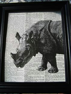 Cute Rhino Drawing 19 Best Rhinos Images Rhinos Rhinoceros Rhino Art