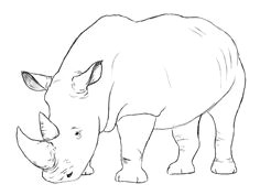Cute Rhino Drawing 78 Best Rhinos Images Rhinos Rhinoceros Animal Drawings