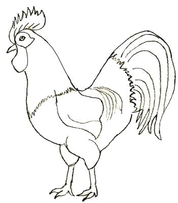 Cute Rooster Drawing How to Draw A Rooster Step 5 Roosters Drawings Rooster