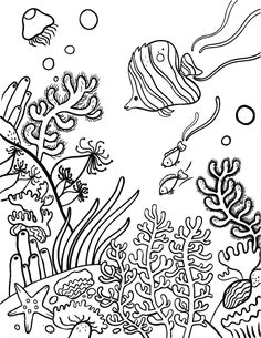 Cute Underwater Drawing Drawing Underwater Coral Reef Coral Reef Pinterest Coral Reef