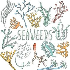 Cute Underwater Drawing Drawing Underwater Coral Reef Coral Reef Pinterest Coral Reef