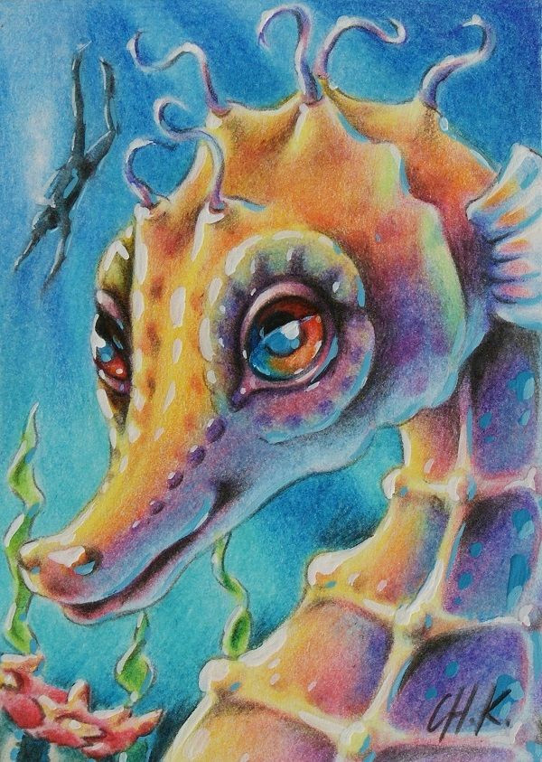 Cute Underwater Drawing Seahorse Colored Pencils 2 5×3 5 Illustrations In 2019