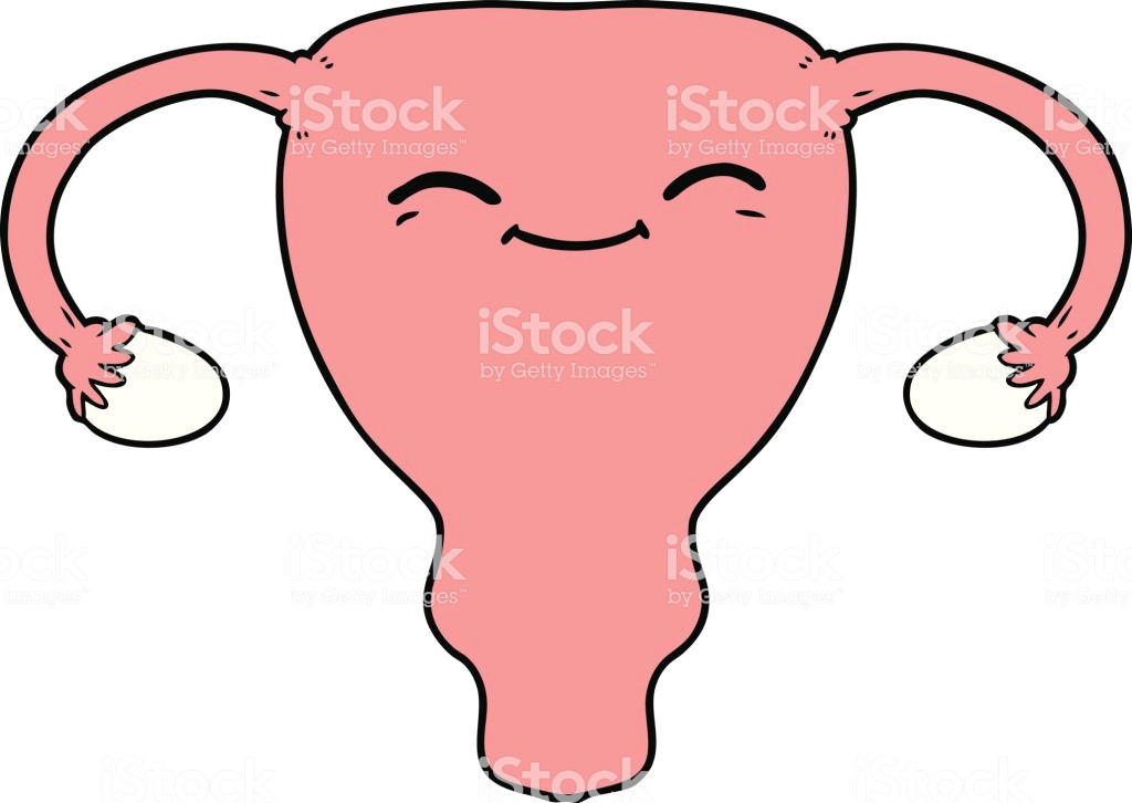 Cute Uterus Drawing Cartoon Uterus Stock Vector Art More Images Of Animal 800452032