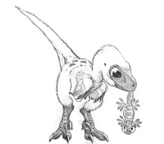 Cute Velociraptor Drawing 10 Best 3 Images On Pinterest