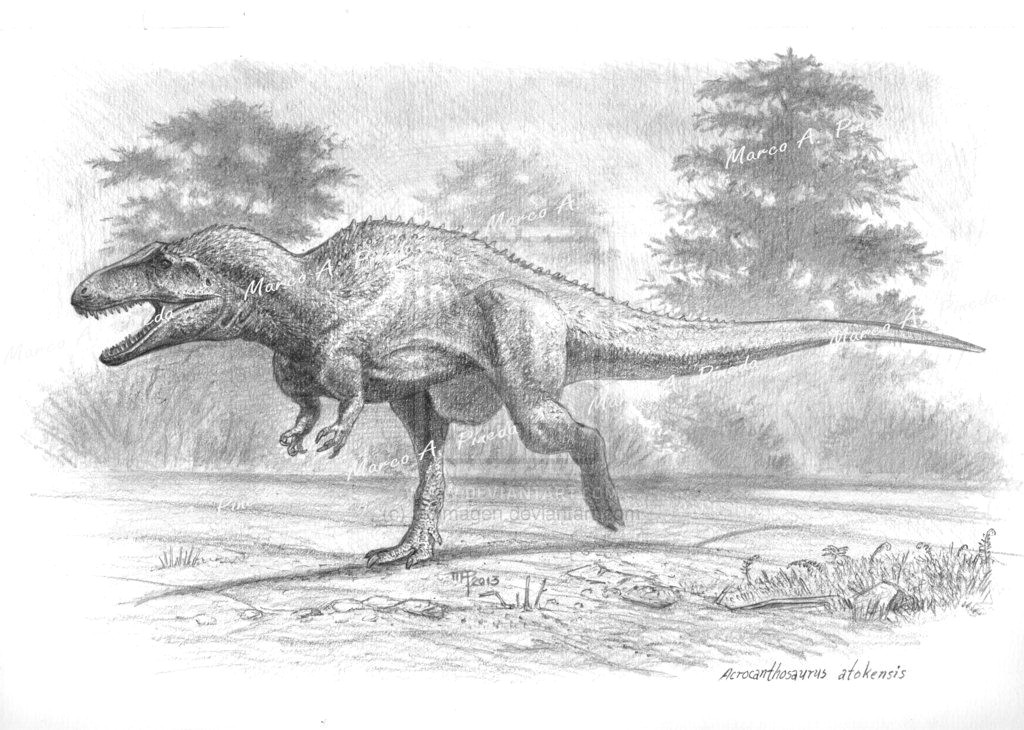 Cute Velociraptor Drawing Acrocanthosaurus by Bioimagen On Deviantart Prehistoric Fauna