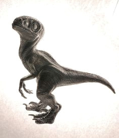 Cute Velociraptor Drawing Die 21 Besten Bilder Von Velociraptoren Saurier