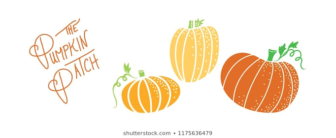 Cute Vine Drawing Royalty Free Stock Illustration Of Pumpkin Design Cute orange