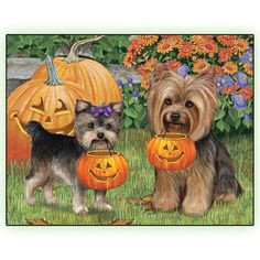 Cute Yorkie Drawing 161 Best Cartoon Yorkies Images Dog Paintings Drawings Of Dogs