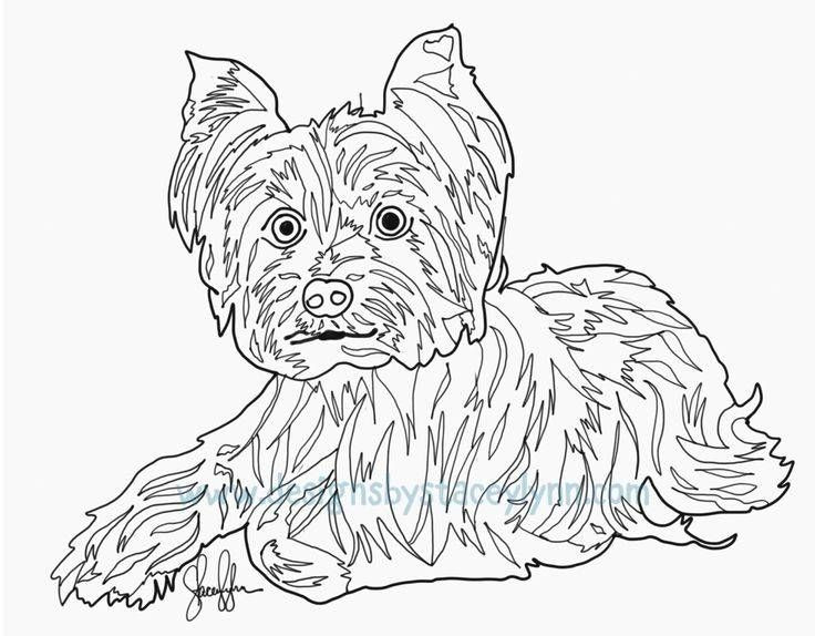 Cute Yorkie Drawing Yorkie Coloring Pages Fresh Yorkie Coloring Pages Awesome Coloring