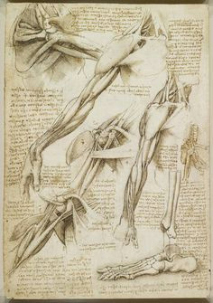 Da Vinci Drawings Of Hands 22 Best Leonardo Da Vinci Images Da Vinci Inventions Drawings Da