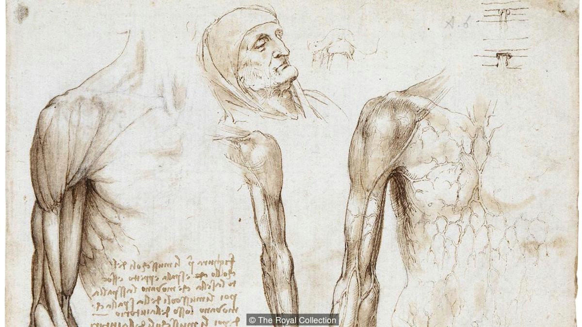 Da Vinci Drawings Of Hands Body Maps Leonardo Da Vinci S Anatomical Drawings Flashbak